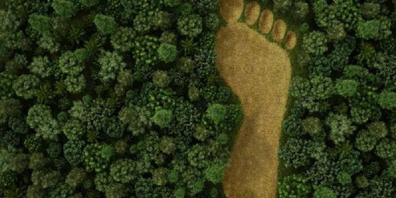 La huella ambiental que dejamos Huella ambiental