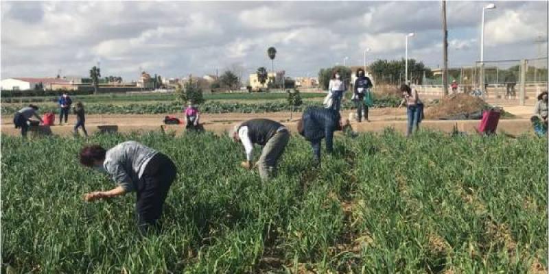 Proyecto Huertas Abiertas/ NIUS El campo de Huertas Abiertas