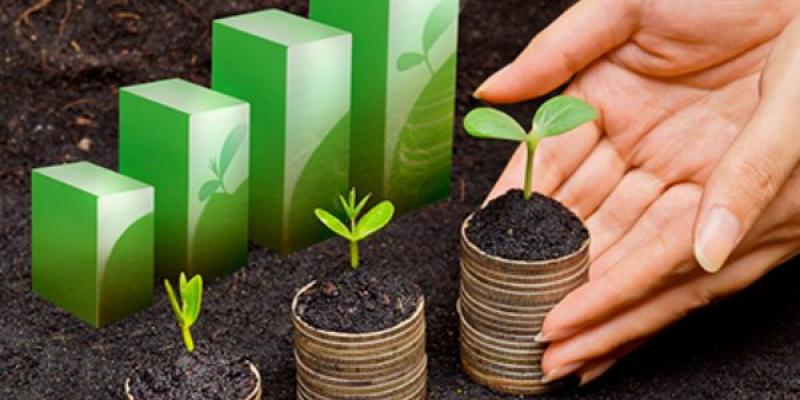 Impuestos ambientales/ CREU.MX Apostar por los impuestos ambientales