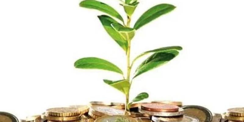 Recaudación de impuestos verdes en España Impuestos verdes en España