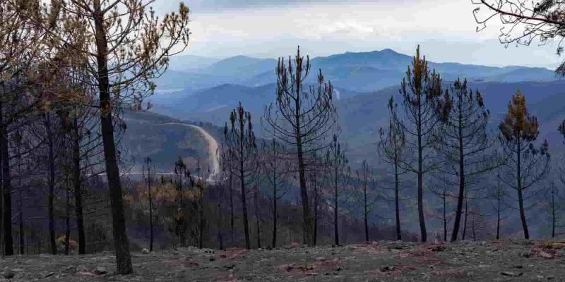 El incendio de Las Hurdes se estabiliza, pero sigue preocupando