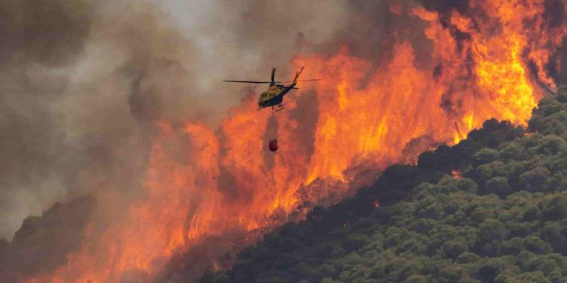 Imagen de un incendio forestal/El Independiente Los incendios forestales arrasan España