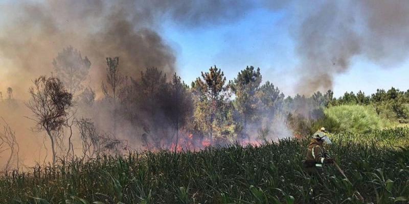 Incendios forestales Tareas de extinción del incendio registrado en Goiás / Faro de Vigo