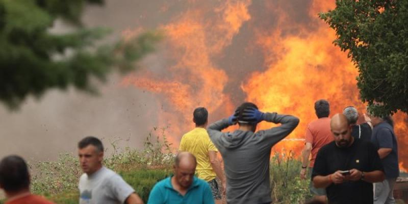 Los estragos que causan los incendios forestales en muchas personas Incendios forestales