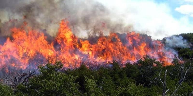 Incendios forestales