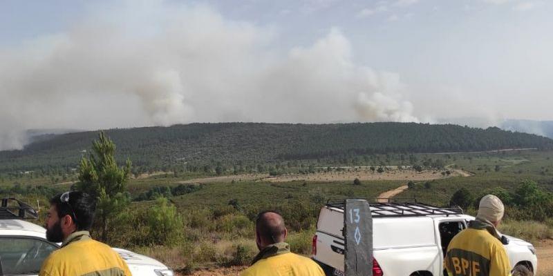 Los incendios forestales activos en España