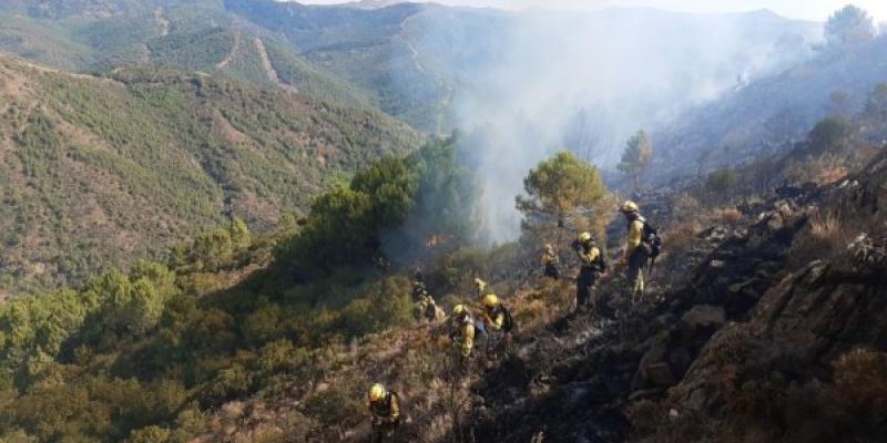 España sucumbe con los incendios forestales