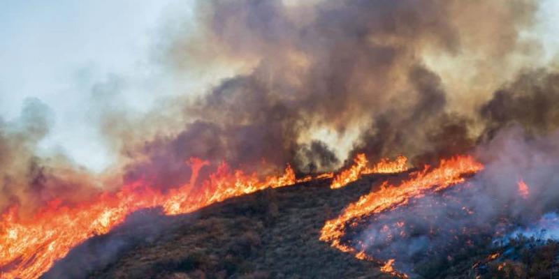 Los incendios queman un 45% menos hasta mayo en España respecto a la última década.