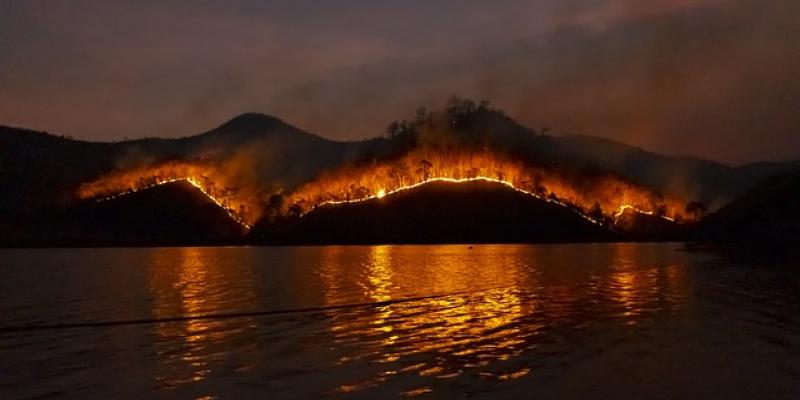 Incendios forestales / Pixabay Incendio