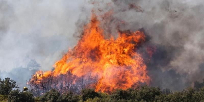 Llamas en los incendios de Valencia