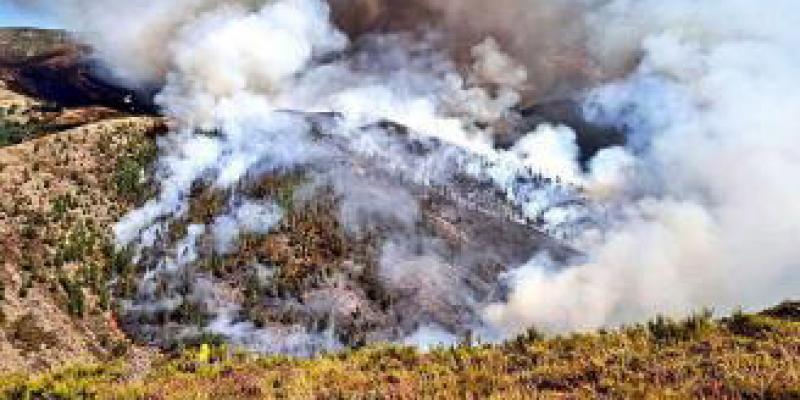 Once incendios calcinan en torno a tres mil hectáreas