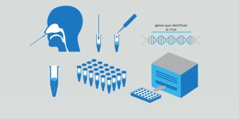 QUO Infografia de una PCR para el diagnóstico de COVID-19