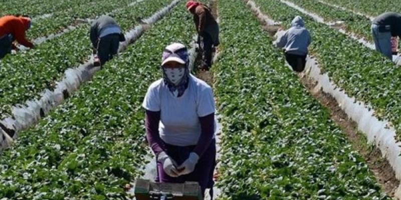 Inmigrantes y envejecimiento poblacional Inmigrantes trabajando