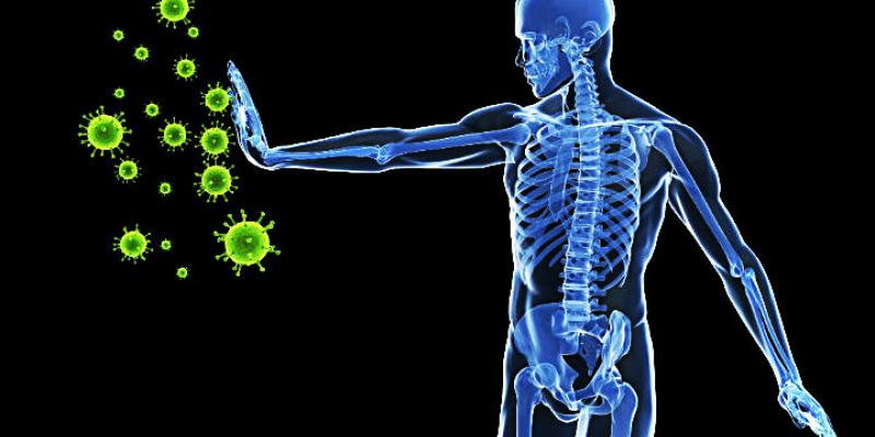 La inmunidad frente al coronavirus podría durar años e incluso décadas La inmunidad frente al coronavirus podría durar años