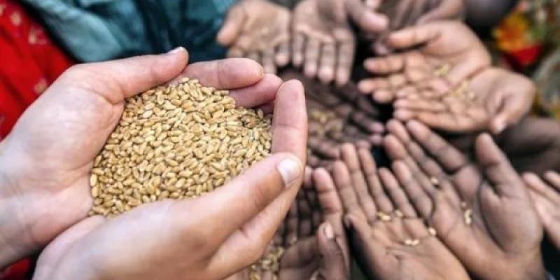 Inseguridad alimentaria / Prensa Latina Manos de personas con semillas para comer