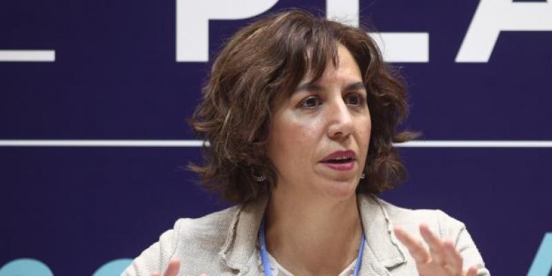 Irene Lozano durante una comparecencia por los Juegos Paralímpicos / Diario de Ibiza El CSD y el Ministerio de Sanidad colaboran para aminorar el impacto del coronavirus