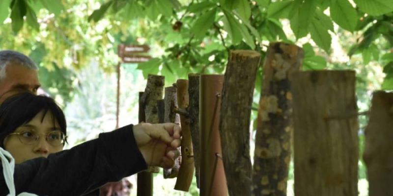 Itinerarios accesibles en el Jardín Botánico - Servimedia El Real Jardín Botánico de Madrid
