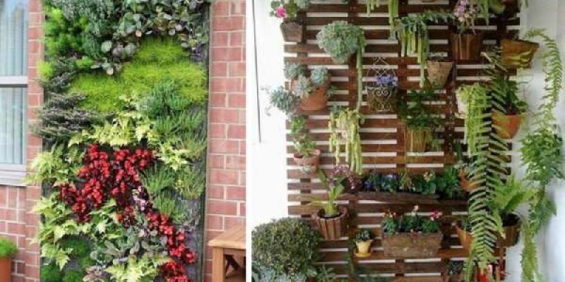 Crear un jardín vertical/ jardinitis Ejemplos de jardín vertical