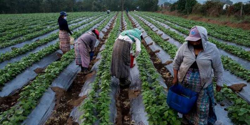 Pobreza: Los latinoamericanos van a ver cómo empeora su ya precaria situación económica.