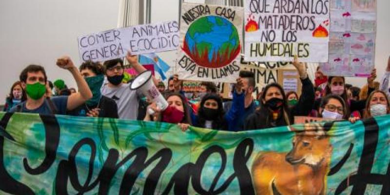 En el Delta del Paraná el fuego consumió cerca de un millón de hectáreas en menos de dos años Multisectorial Ley de Humedades/Comecuco