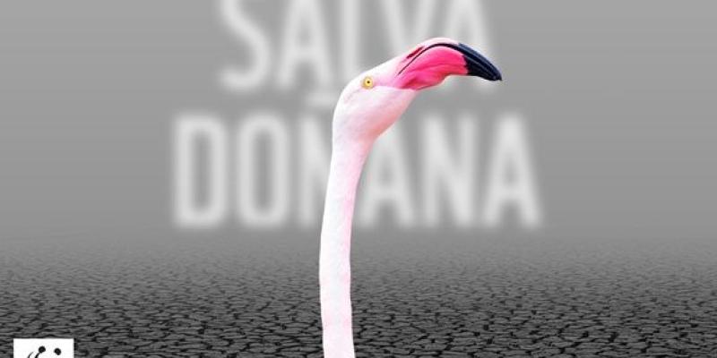 Cartel de WWF para salvar Doñana