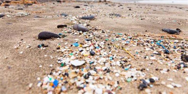 Una playa repleta de residuos