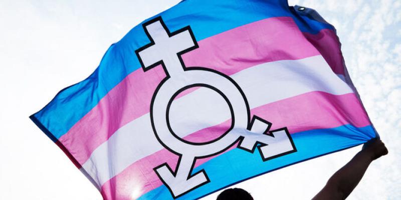 Bandera reivindicativa de los derechos trans en una manifestación por la Ley Trans
