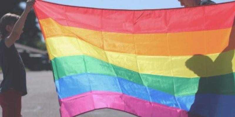 Bandera LGTBI / Federación Estatal de Lesbianas, Gais, Trans, Bisexuales, Intersexuales y más (Felgtbi+) Bandera LGTBI