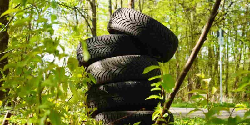 Imagen de llantas en el bosque/Envatoelements Llantas ecológicas y diferencias con las tradicionales