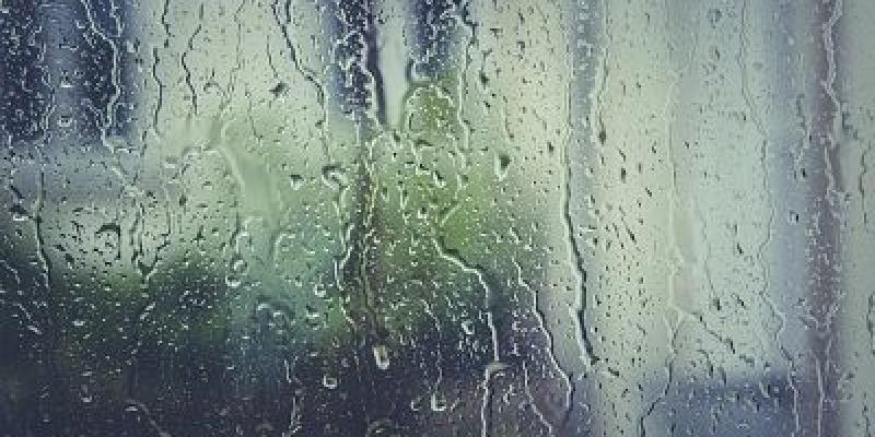 La lluvia es de vital importancia en la agricultura Lluvia/Pixabay