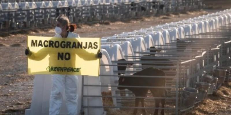 Agua contaminada por las macrogranjas/ Greenpeace Greenpeace se manifiesta contra el agua contaminada