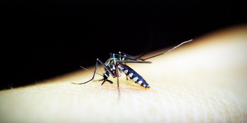 Mosquirix es la primera vacuna contra la malaria recomendada por la OMS