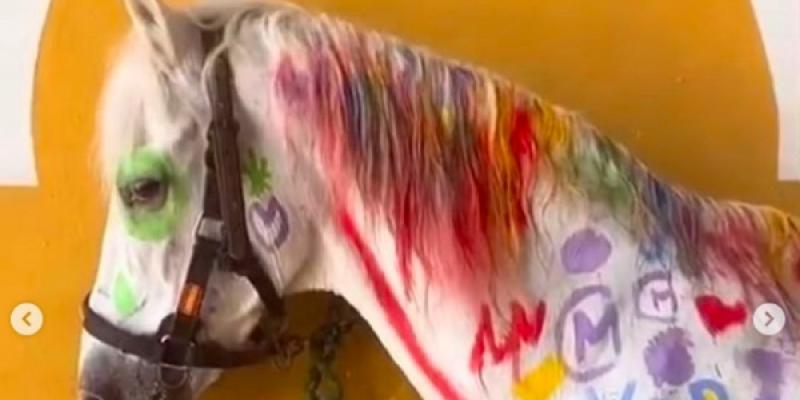 Maltrato animal/ Diario de Sevilla El maltrato animal es un delito