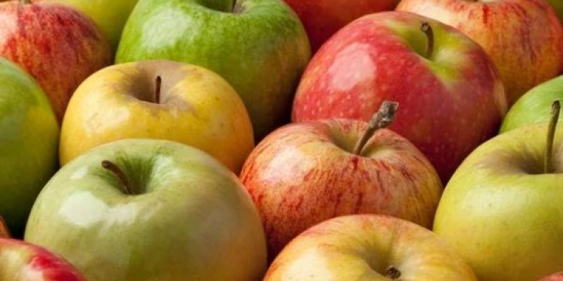 Tipos de manzanas Manzanas