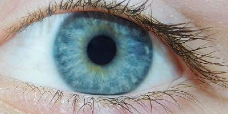 Es importante mantener una buena salud ocular Ojo/Pixabay