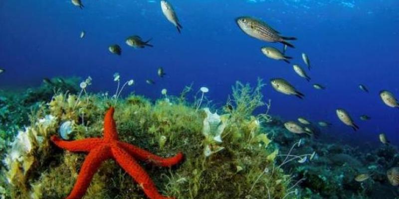 Expedición al la zona del Mar Mediterráneo en Italia