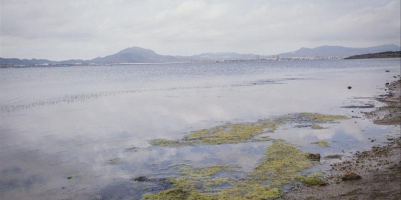 David de Flores de La Cámara Roja Asociaciones ecologistas temen que se descuide "aún más" el estado del mar Menor