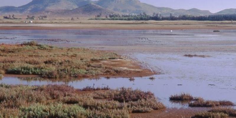 Imagen del estado del Mar Menor