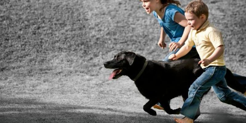 Las mascotas y los niños