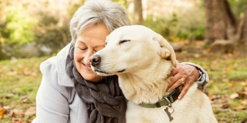 Perros y la vuelta a la normalidad/ RSCE Los perros