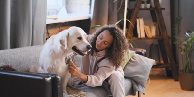 Imagen de una chica con su perro/envatoelements Convivencia de mascotas y personas inmunodeprimidas