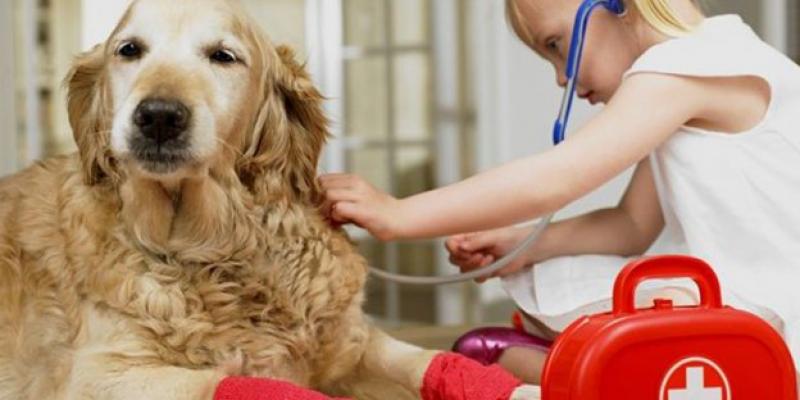 El coste anual de las familias con mascotas. mascotas