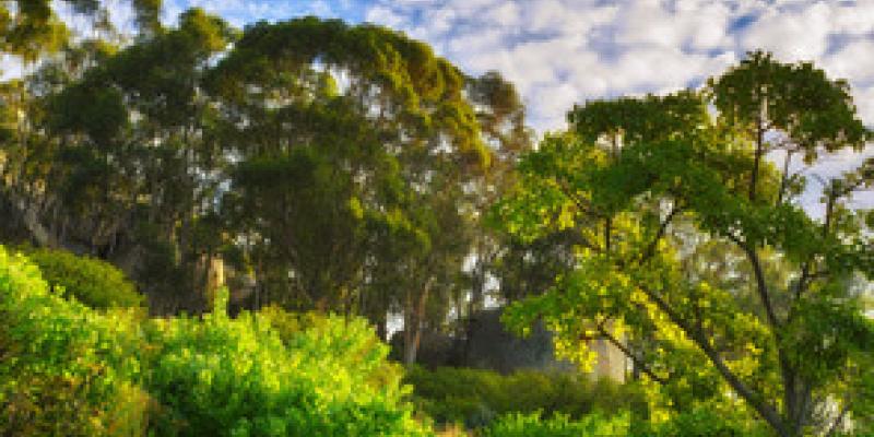 Buenas noticias para el medio ambiente