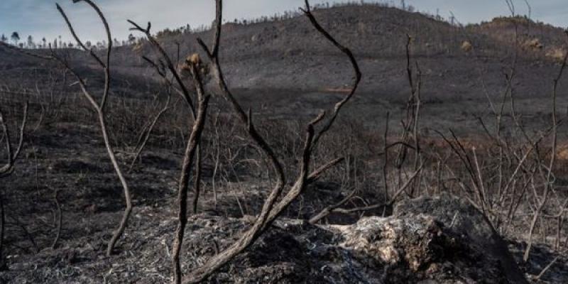 El medioambiente de España sufre las graves consecuencias