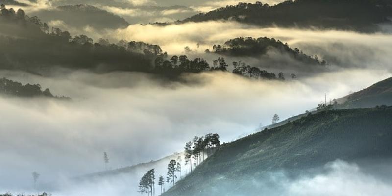 Imagen de un ecosistema natural/Pixabay La ONU alerta sobre la presencia humana en el daño hacia el medio ambiente