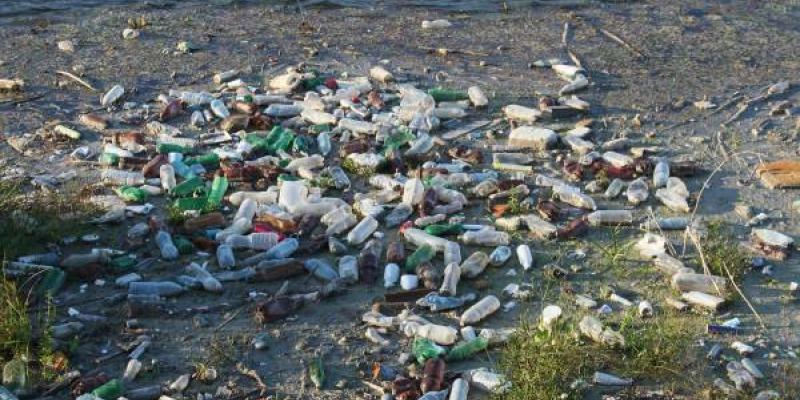 El Medio ambiente Daños en el medio ambiente