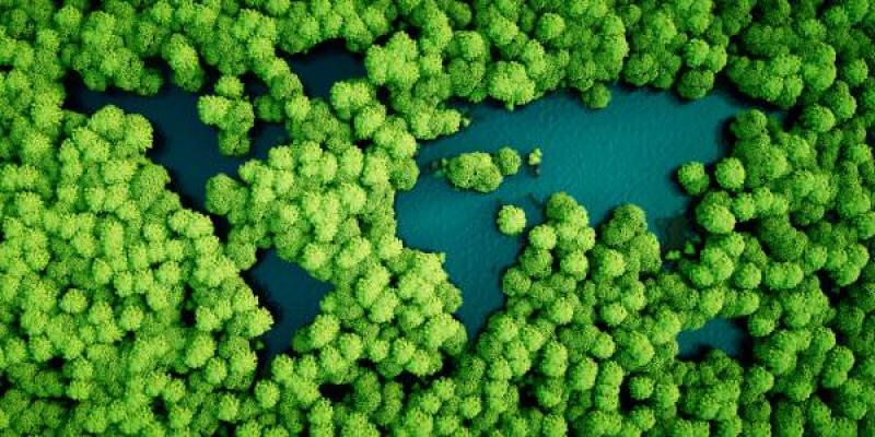 Cuidar del medioambiente