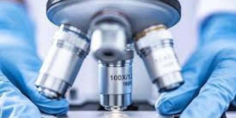 infosalud Medula espinal