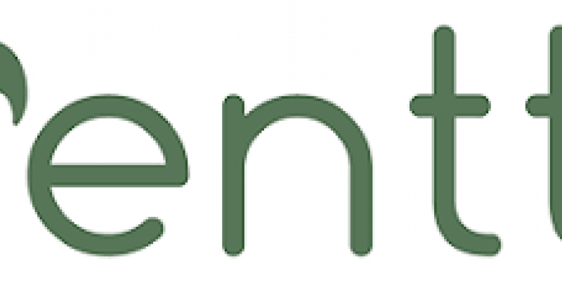 mentta logo