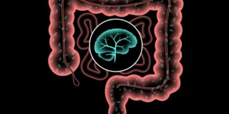 ¿Qué conexión hay entre el cerebro y el intestino? - Shutterstock / Pikovit Infografía del intestino y el cerebro